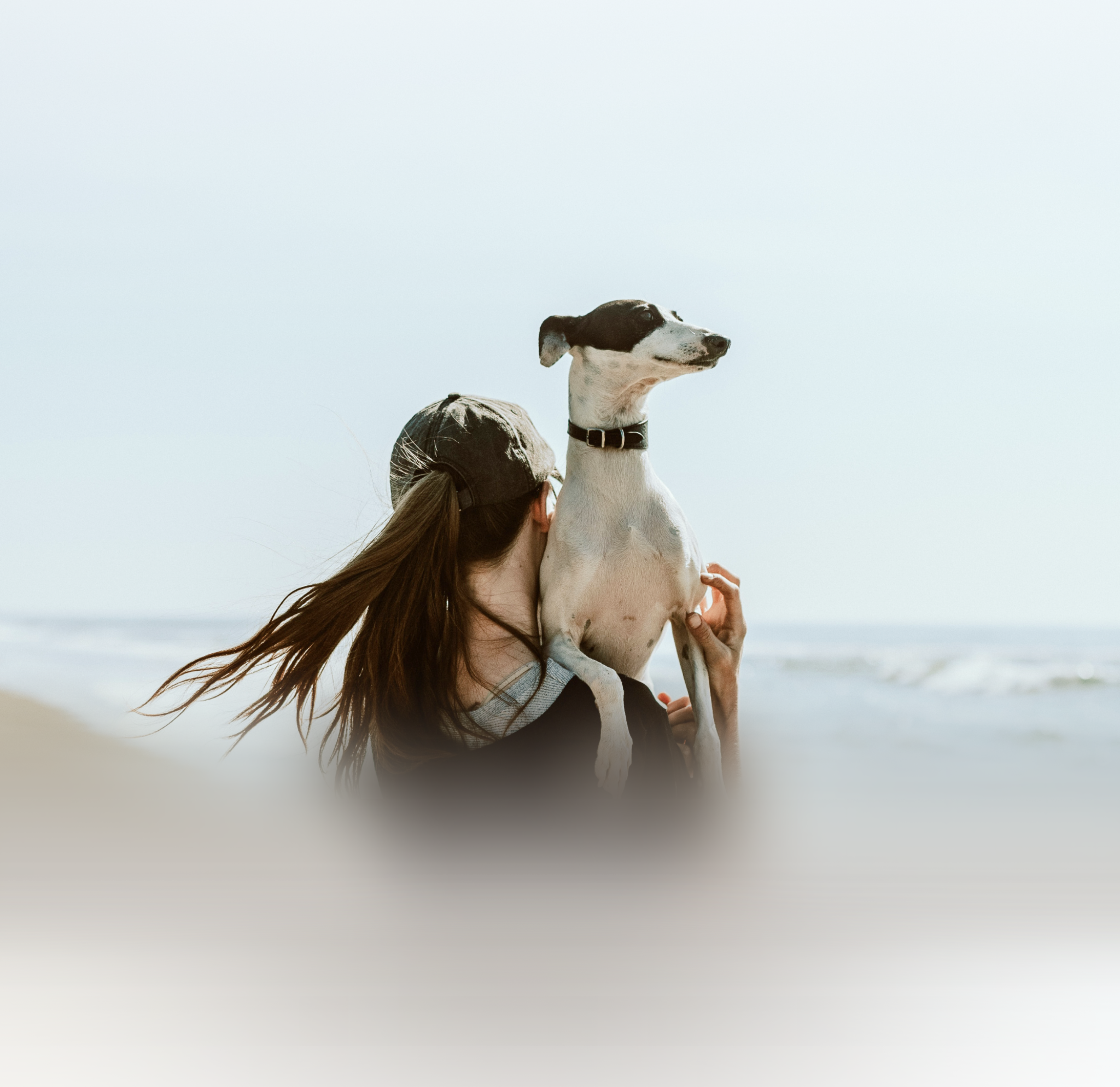 Dog being held by woman walking on the beach