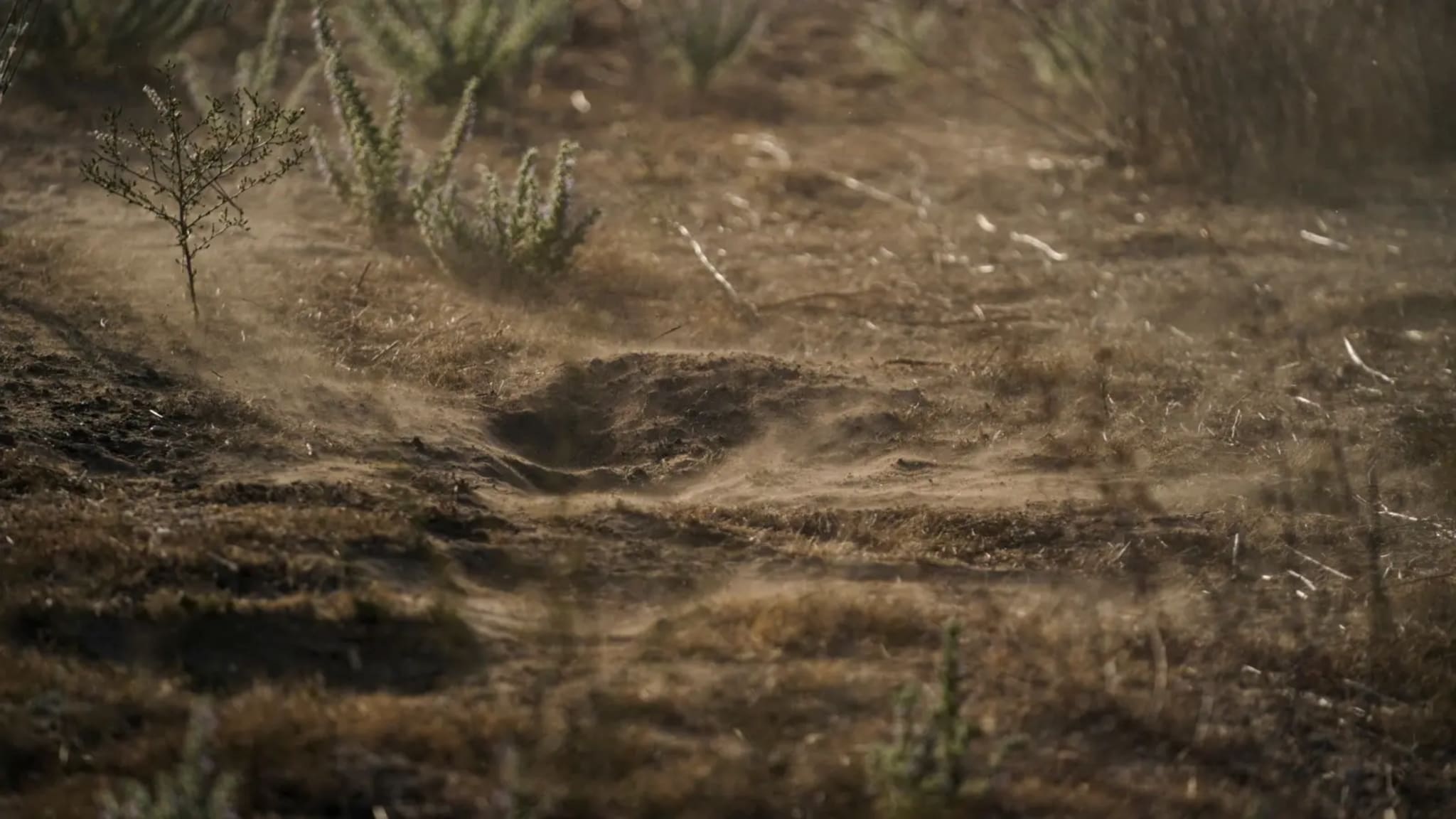 Desert Dust / Carolyn Van Houten / The Washington Post via Getty Images