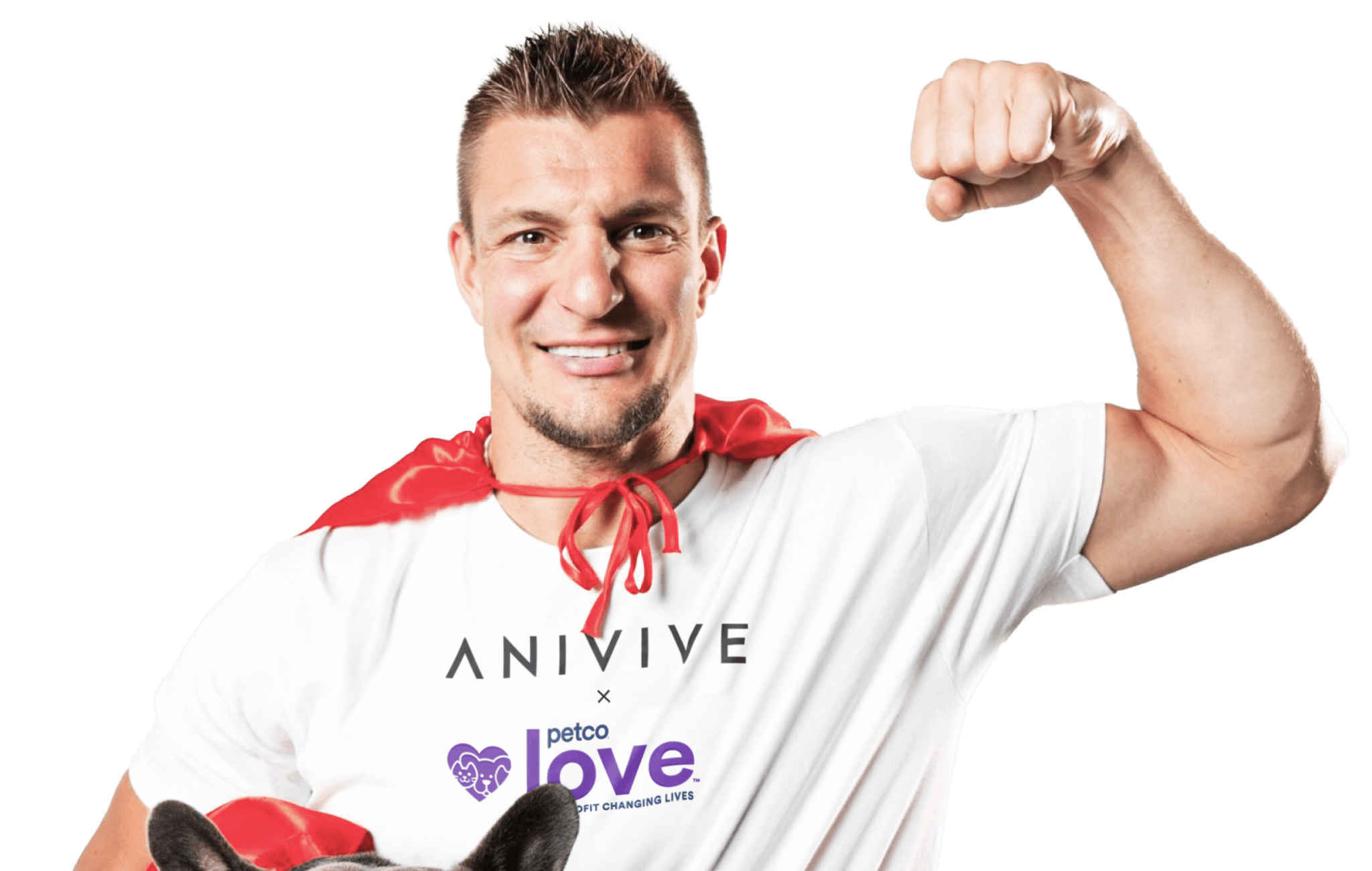 Anivive and Gronk Join Forces with PetcoLove