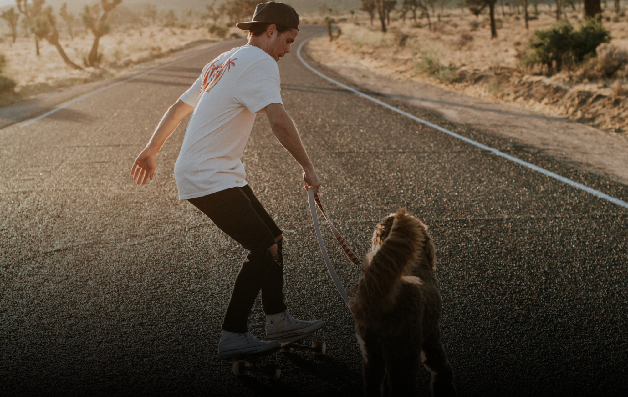 Man skateboarding with dog on a desert road