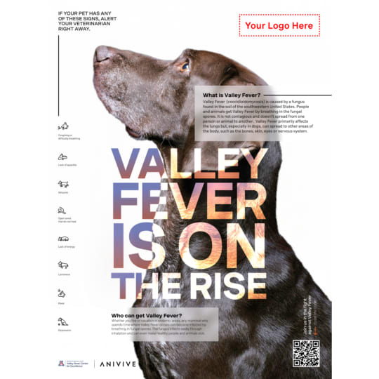 Valley Fever: On The Rise Poster
