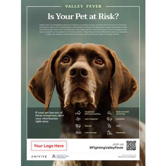 Valley Fever: Is Your Pet At Risk? Poster