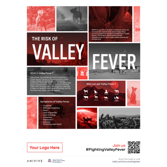 The Risk of Valley Fever Poster