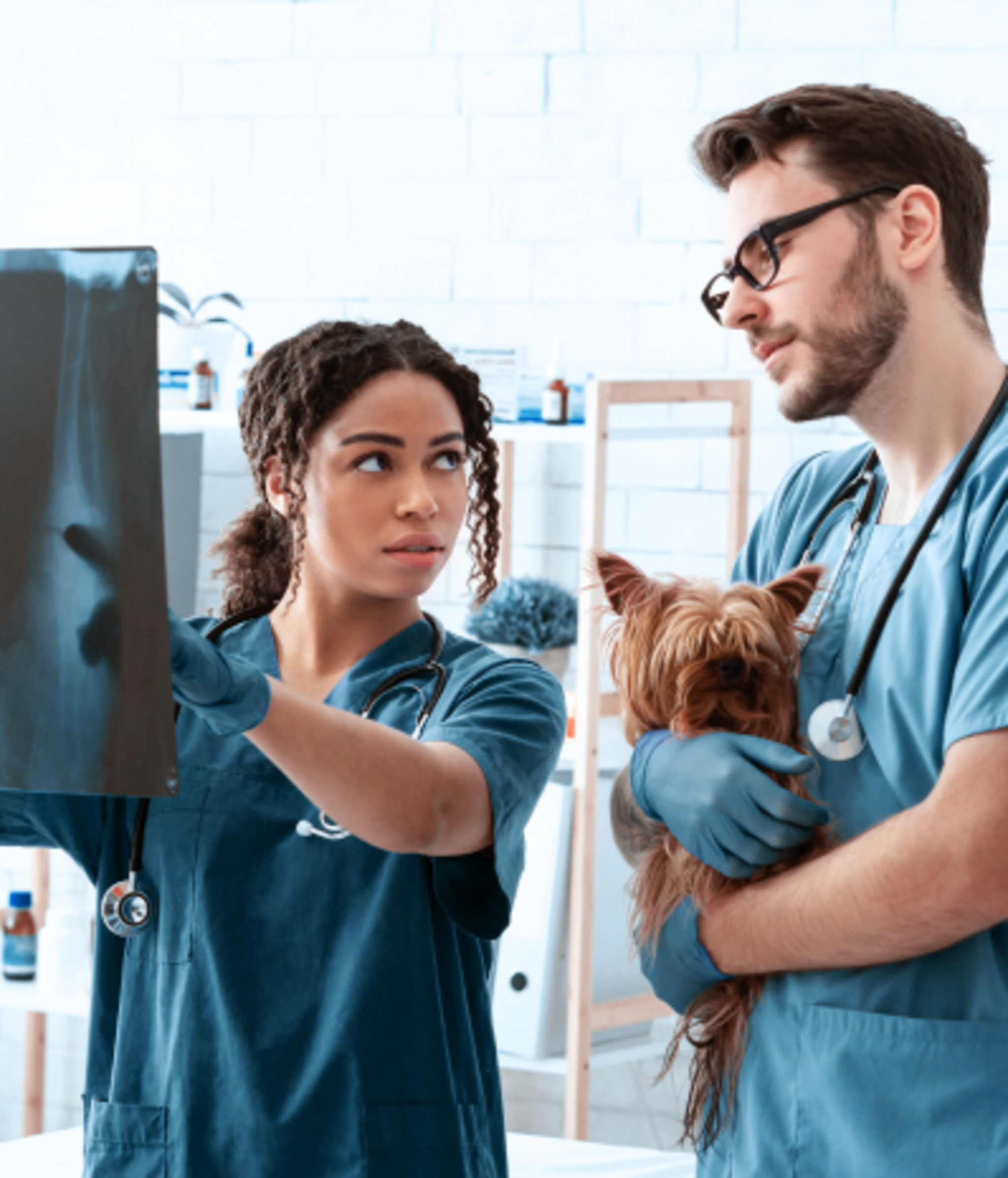 Vet smiling with two dogs