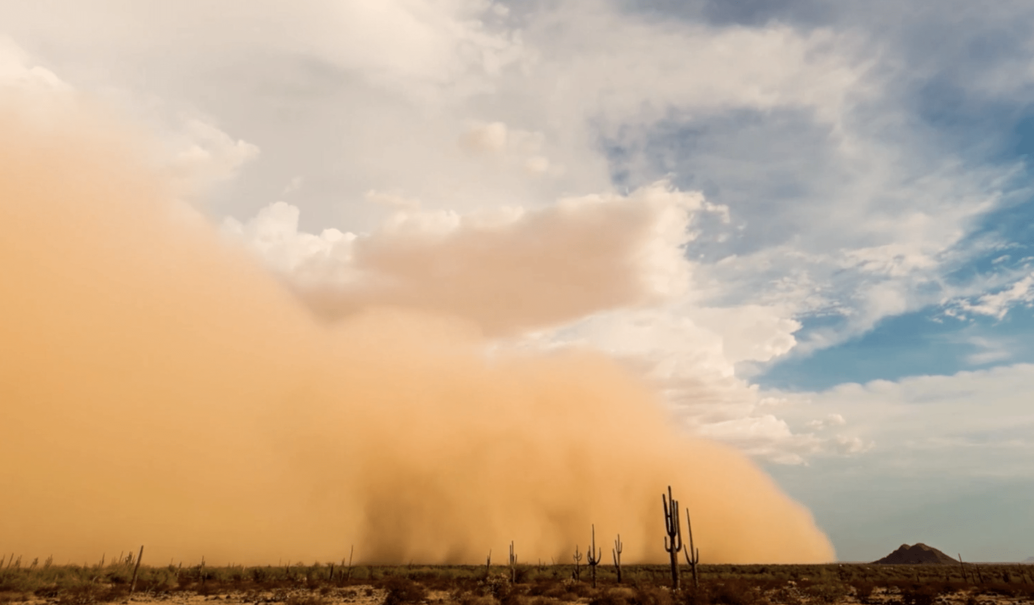 Desert Dust Storm