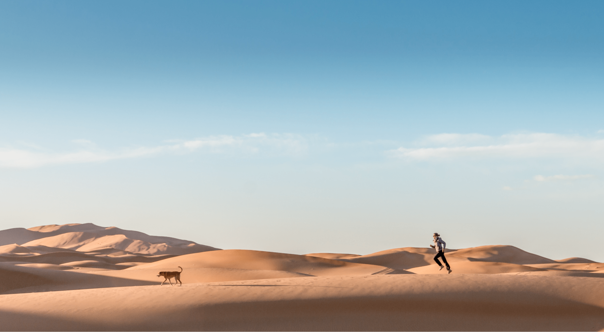 Desert Dust Storm